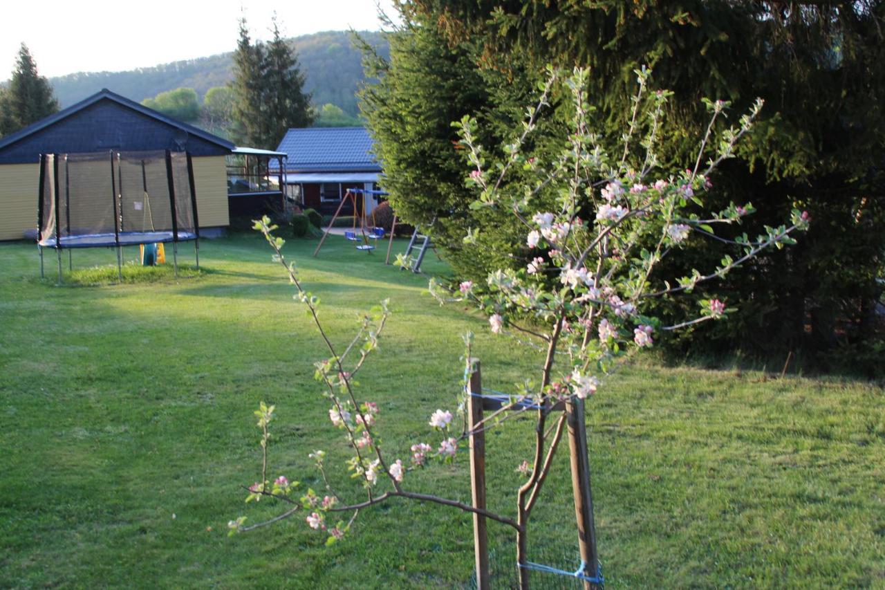 Ferienhaeuser "Zur Hohen Sonne" Thale Exteriér fotografie